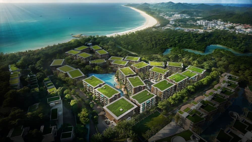 Abov Patong